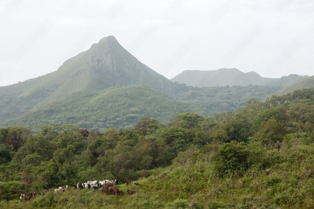 Volcano Cameroon, Africa