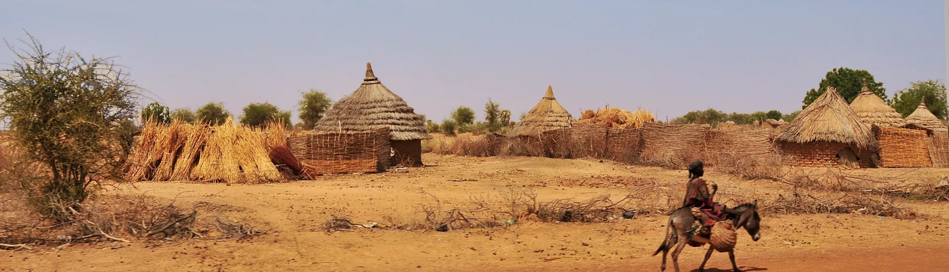 Village in the area of Sahel in Chad