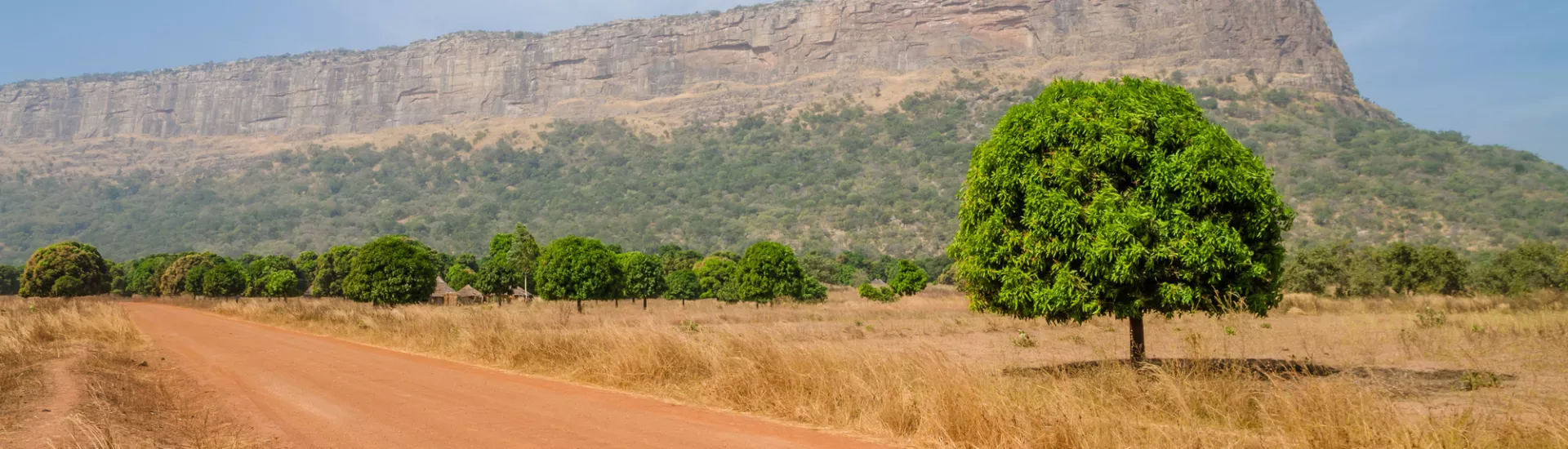 Red dirt and gravel road, single trees and large flat topped mountain