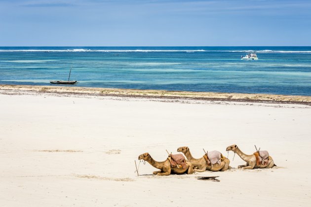 Diani Beach, Kenya