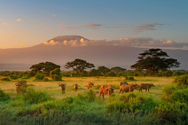  Amboseli, Kenia