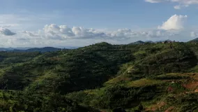 Hills of Rwanda, Rwanda, Africa
