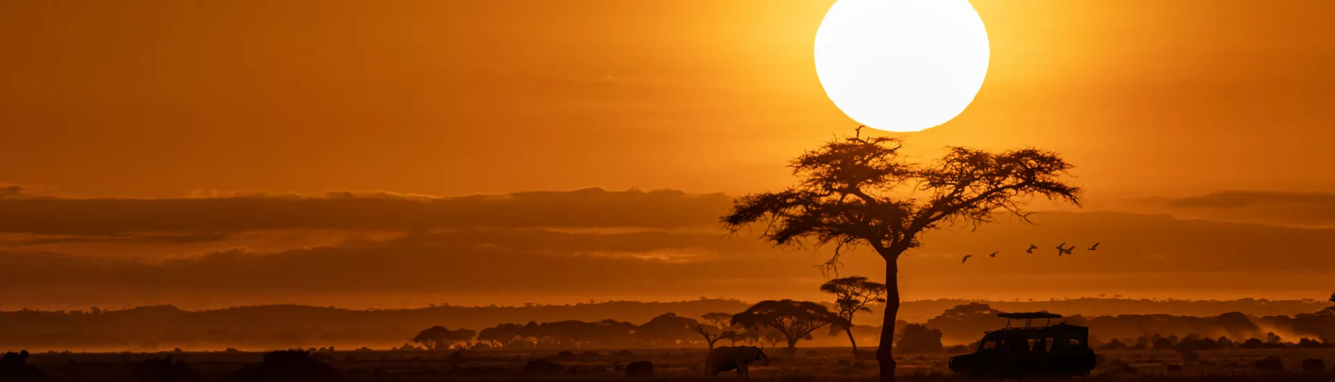 Sunset and trees in Africa