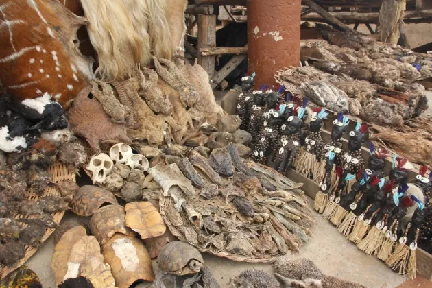 Fetish market, Lomé