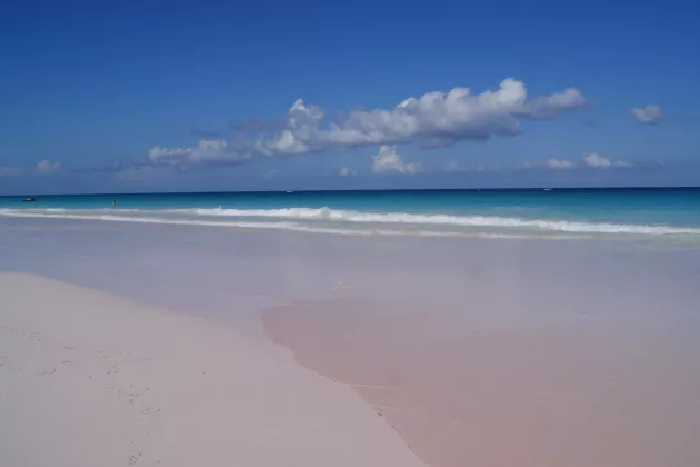 Beautiful view of a pink sand beach with turquoise crystal clear water on Harbor Island, Bahamas