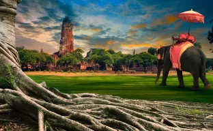 An Indian elephant walks against a backdrop of ancient buildings