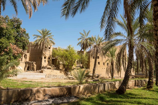 Alte Lehmziegelhäuser und eine Palme im alten Dorf von Al Hamra (Oman)