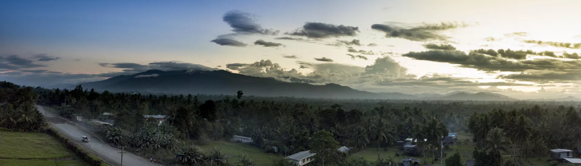 Panoramic shot of buildings near palm tree forest in Papua New Guinea