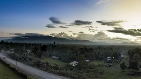 Panoramic shot of buildings near palm tree forest in Papua New Guinea