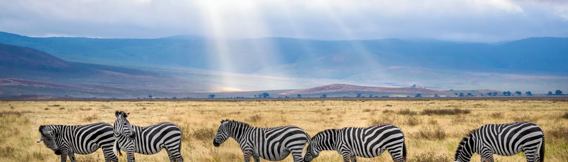 National Park of Kenya