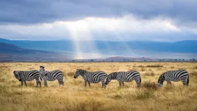 National Park of Kenya