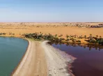 Lake Unyanga, Chad, Africa