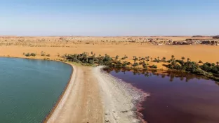 Lake Unyanga, Chad, Africa