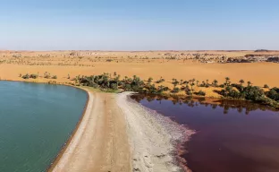 Lake Unyanga, Chad, Africa