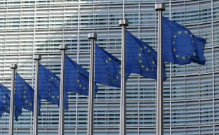 EU flags in Berlaymont