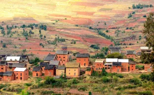 Small houses with red roofs and fields in the daytime