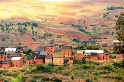 Small houses with red roofs and fields in the daytime