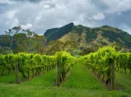 Gisborne Region, New Zealand