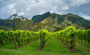 Gisborne Region, New Zealand