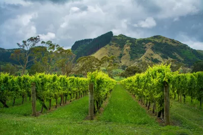 Gisborne Region, New Zealand