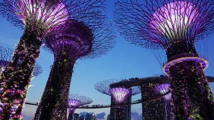 Garden by the bay in Singapore