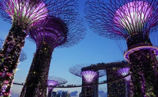 Garden by the bay in Singapore