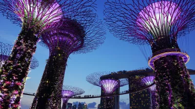 Nature Park in Singapore's Marina Bay area