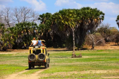 Safari tours in Tanzania