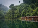 Khao Sok National Park, Khlong Sok, Thailand