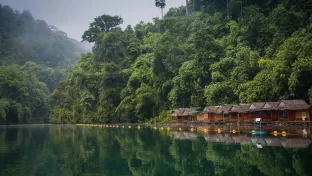 Khao Sok National Park, Khlong Sok, Thailand