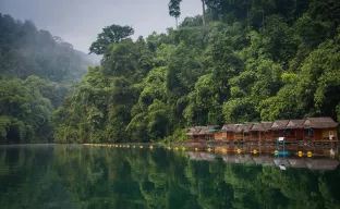 Khao Sok National Park, Khlong Sok, Thailand