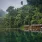 Khao Sok National Park, Khlong Sok, Thailand